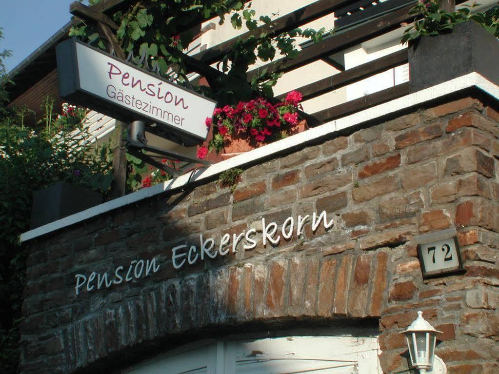 Haus Uebernachtenswert Cochem Mosel 外观 照片